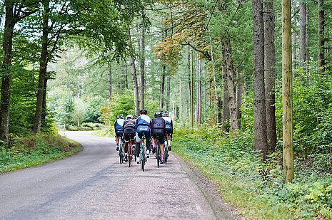 Aktiv im Sommer - gemeinsame Radtour So 6.07.25